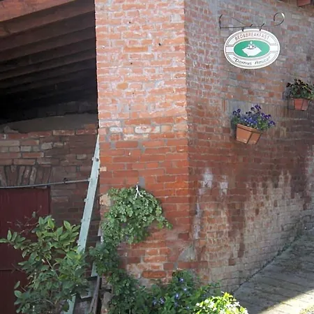Domus Amica Лу